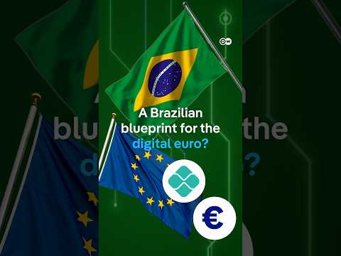 Brazil made digital payments simple. Why can't Europe? | DW News